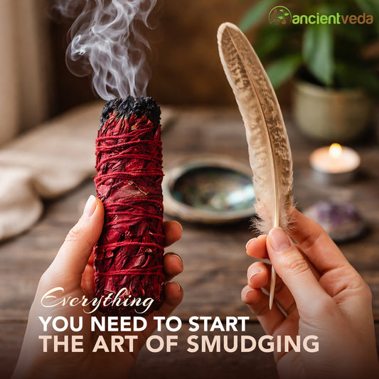Dragon's Blood Sage Smudge Kit with Guide