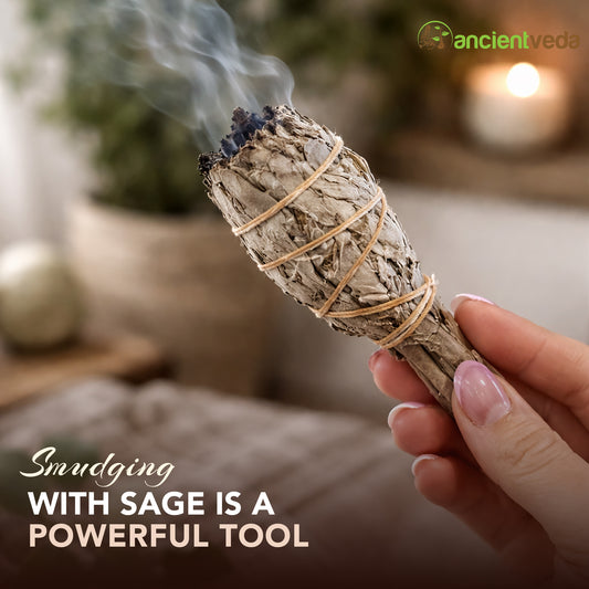 White Sage Torch Smudge Sticks with Smudge Guide, 3-Pack
