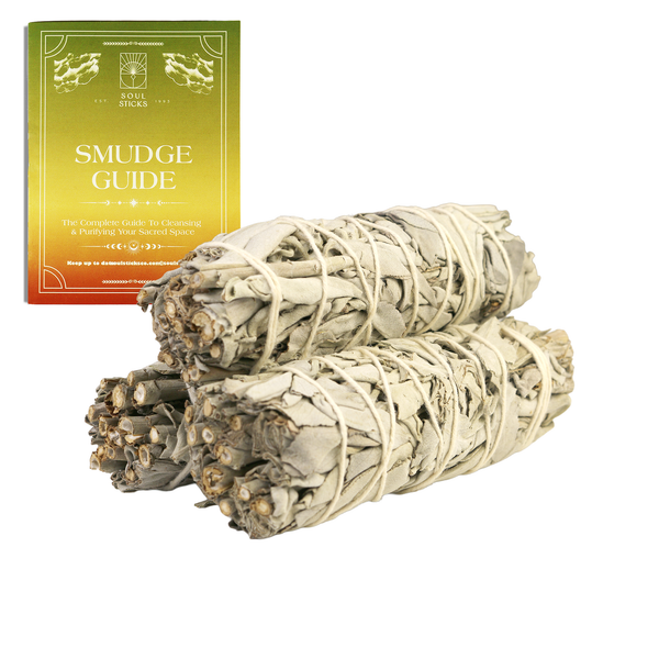 White Sage Smudge Sticks with Smudge Guide, 3-Pack