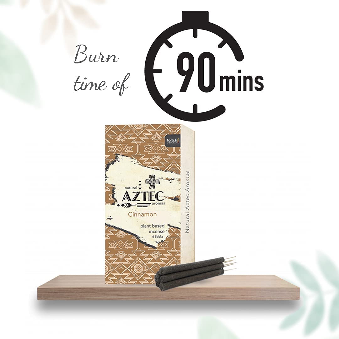 Aztec, Cinnamon Plant-Based Incense Sticks