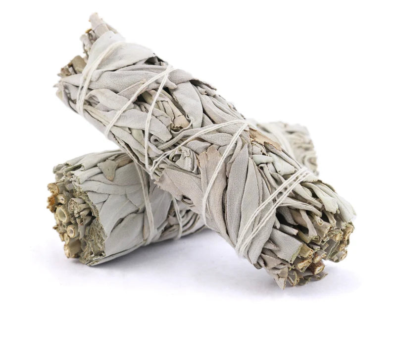 White Sage Smudge Sticks with Smudge Guide (3 PK)