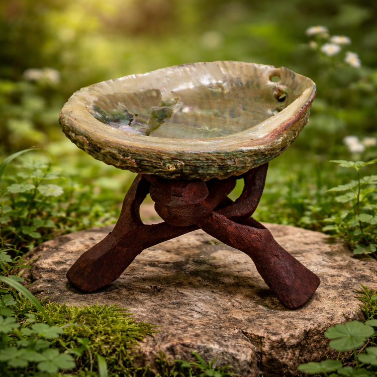 Natural shells and feathers for spiritual rituals, smudging, meditation, and decorative or sacred altar use.