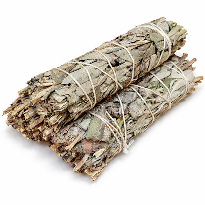 Shasta Sage Smudge Sticks with Smudge Guide, 3-Pack