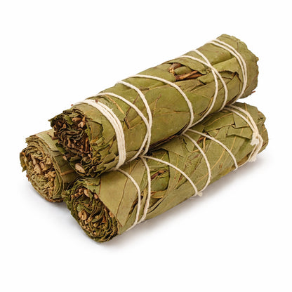 Eucalyptus Sage Smudge Sticks with Smudge Guide, 3-Pack