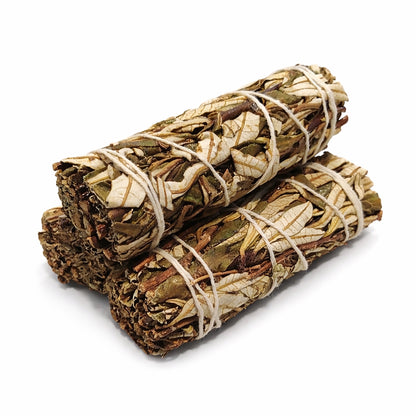 Yerba Santa Sage Smudge Sticks with Smudge Guide, 3-Pack