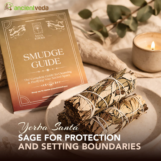 Yerba Santa Sage Smudge Sticks with Smudge Guide, 3-Pack