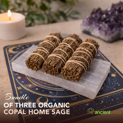 Copal Sage Smudge Sticks with Smudge Guide, 3-Pack