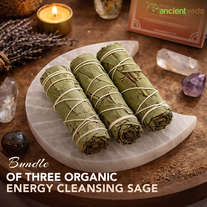 Eucalyptus Sage Smudge Sticks with Smudge Guide, 3-Pack