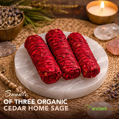 Dragon's Blood Sage Smudge Sticks with Smudge Guide, 3-Pack