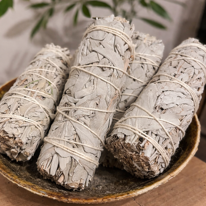 Bulk White Sage Smudge Sticks