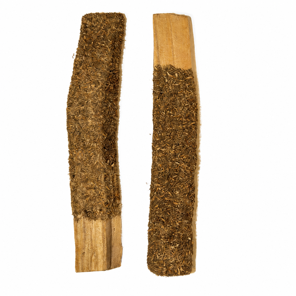 Palo Santo dipped with sage on a white background