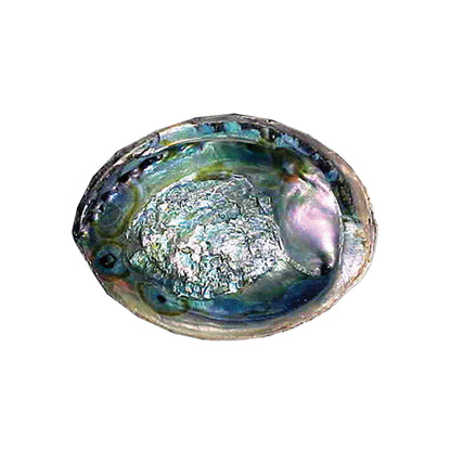 6 in. - 7 in. Green Abalone Shell Smudge Bowl