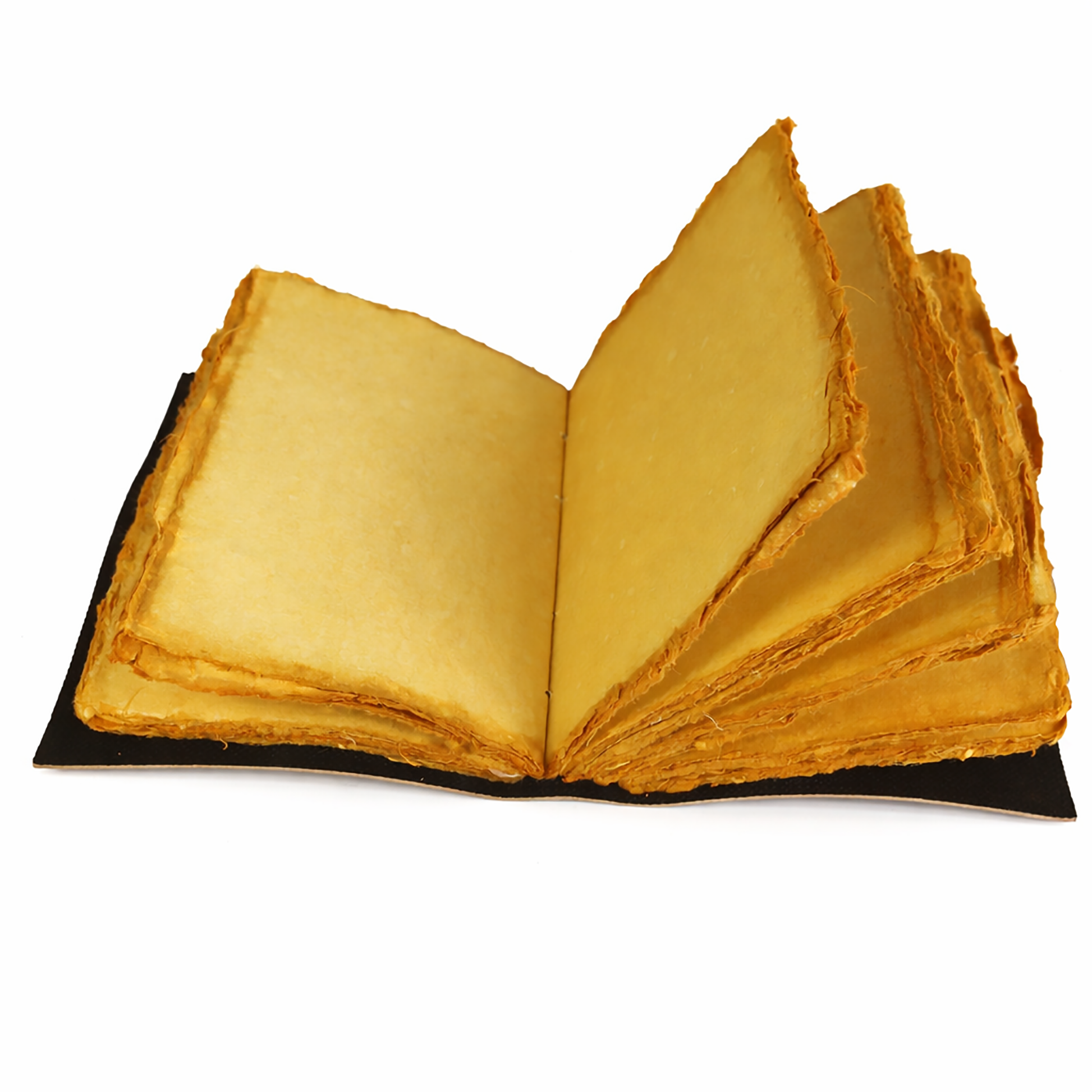 Open Tree of Life leather journal showing blank interior pages