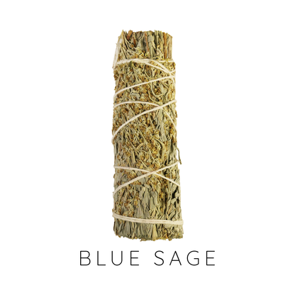 Variety Sage Smudge Sticks Set with Smudge Guide, 6-Pack