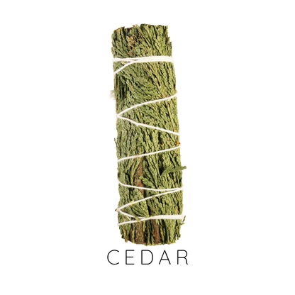 Variety Sage Smudge Sticks Set with Smudge Guide, 6-Pack