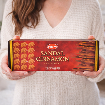 Close-up of HEM Sandal Cinnamon incense sticks and packaging