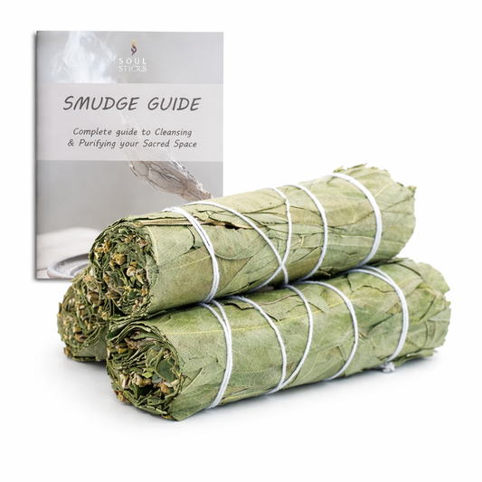 Eucalyptus Sage Smudge Sticks with Smudge Guide, 3-Pack