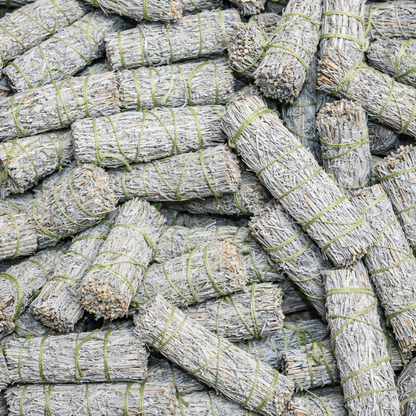 Blue Sage Smudge Sticks with Smudge Guide, 3-Pack