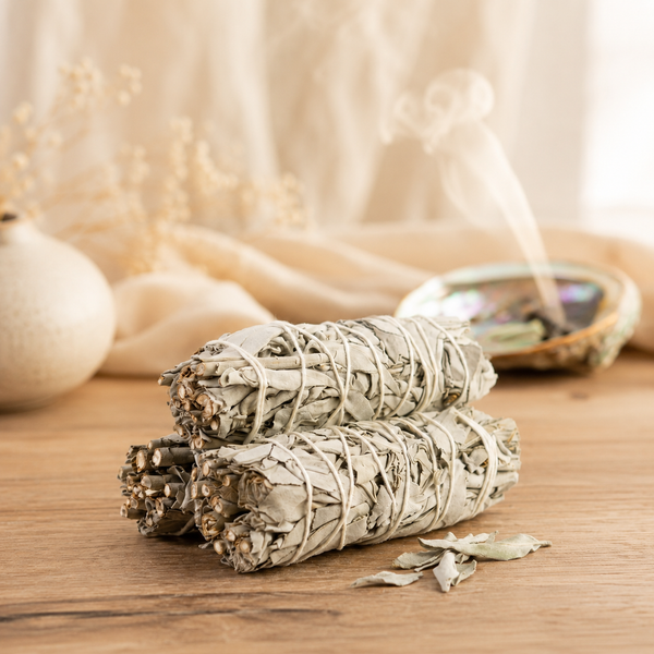 White Sage Smudge Sticks with Smudge Guide, 3-Pack