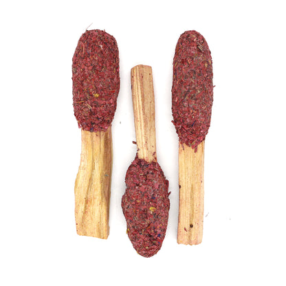 Dragon's Blood Sage Palo Santo Pops 2 Pack with Guide