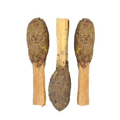 Eucalyptus Sage Palo Santo Pops 2 Pack with Guide