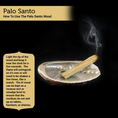 Dragon's Blood Sage Palo Santo Pops 2 Pack with Guide