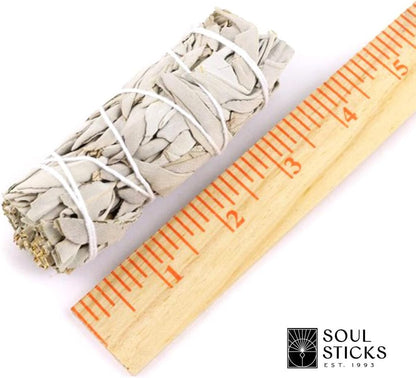 Mini Smudge Kit with Guide