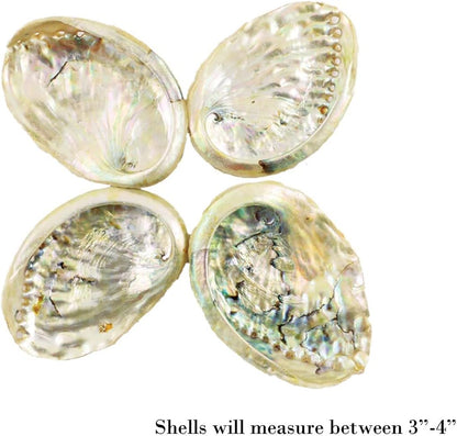 Mini Smudge Kit with Guide