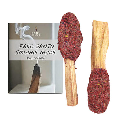 Dragon's Blood Sage Palo Santo Pops 2 Pack with Guide