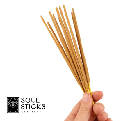 Dragon's Breath & Go Away Evil Masala Incense Sticks Variety Pack product image