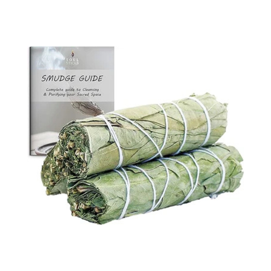 Eucalyptus Sage Smudge Sticks with Smudge Guide (3 PK)