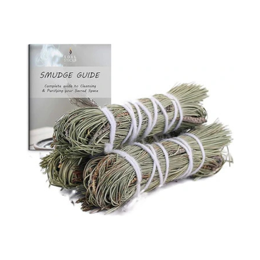Pine Sage Smudge Sticks with Smudge Guide (3 PK)