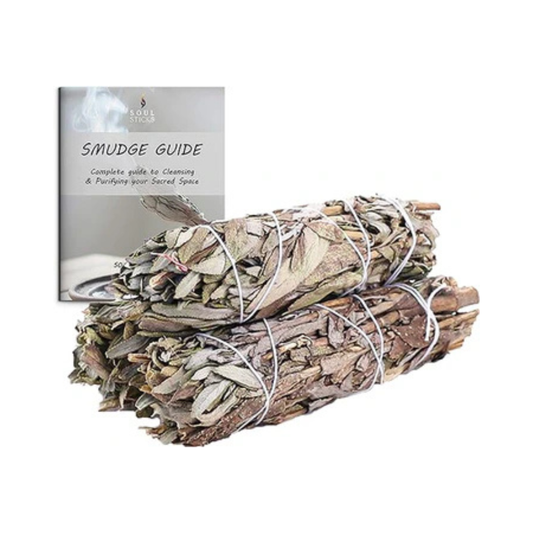 Shasta Sage Smudge Sticks with Smudge Guide (3 PK)
