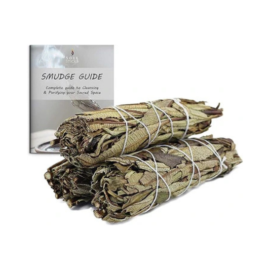 Yerba Santa Sage Smudge Sticks with Smudge Guide (3 PK)