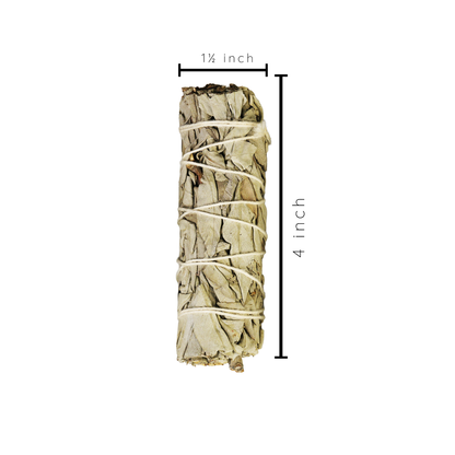 White Sage Smudge Sticks with Smudge Guide, 3-Pack