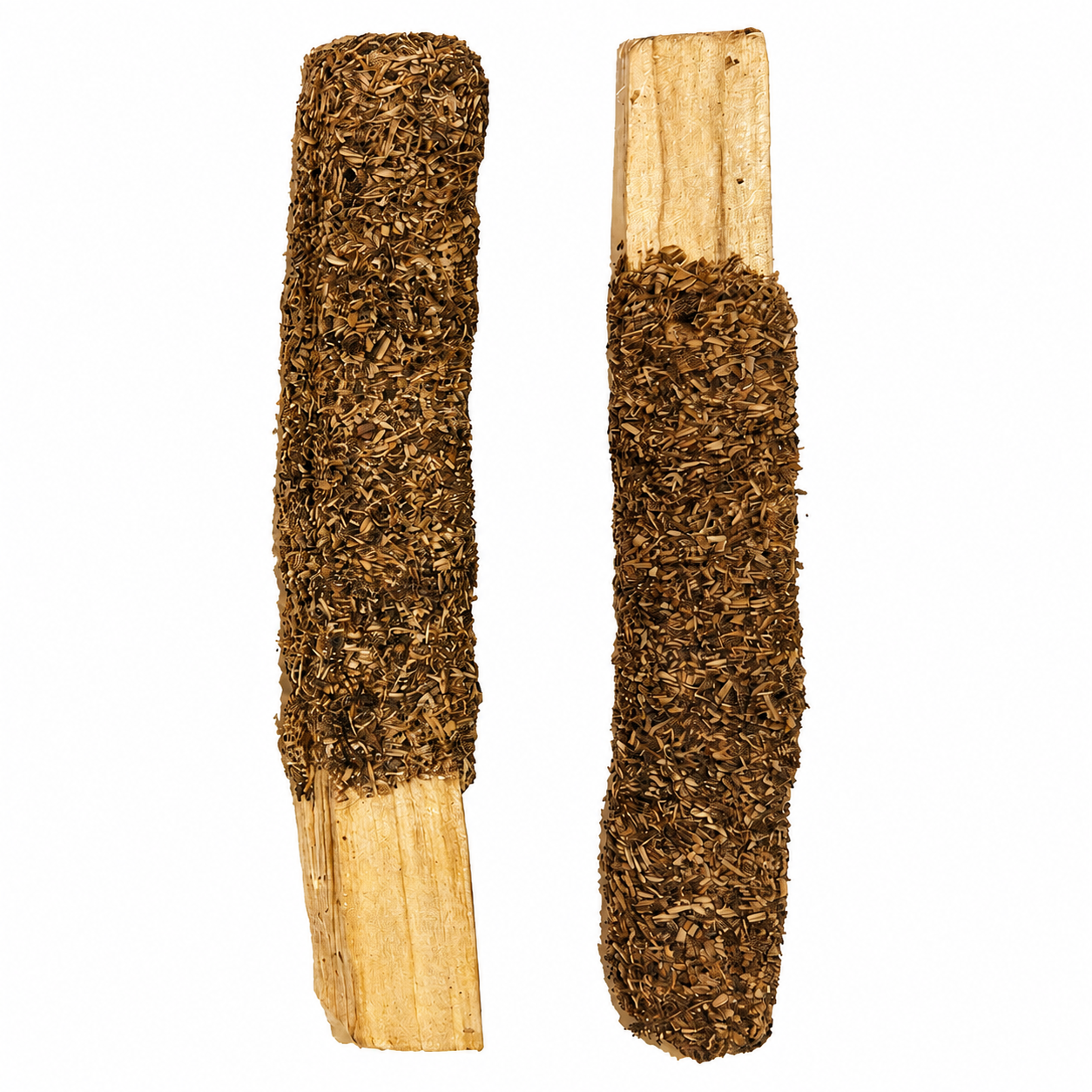 Palo Santo dipped with myrrh on a white background