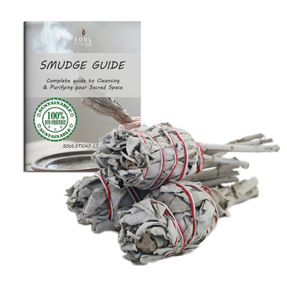 White Sage Torch Smudge Sticks with Smudge Guide, 3-Pack