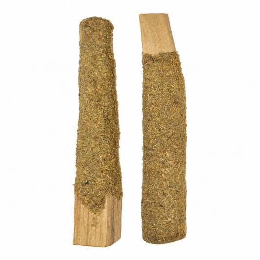 Palo Santo dipped with rue on a white background