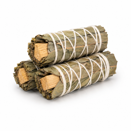 Eucalyptus smudge stick with palo santo on white background