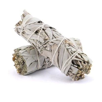 White Sage Smudge Sticks with Smudge Guide, 6-Pack