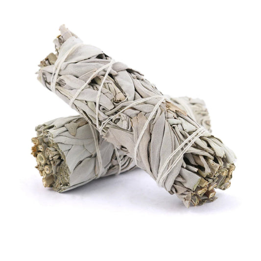 White Sage Smudge Sticks with Smudge Guide, 6-Pack