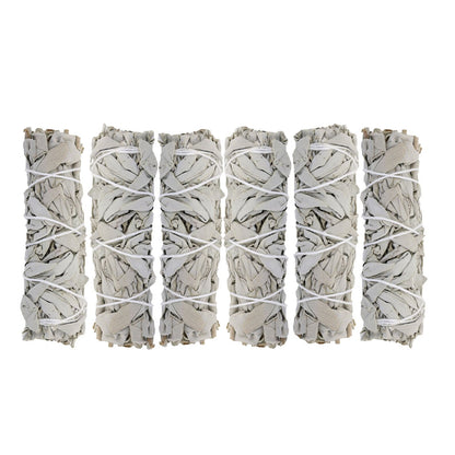 White Sage Smudge Sticks with Smudge Guide, 6-Pack
