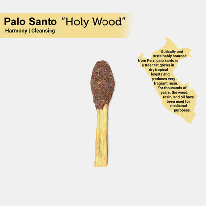 Black Sage Palo Santo Pops 2 Pack with Guide